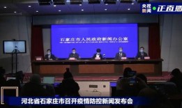 石家庄桃园最新爆料新闻,最新爆料揭示惊人真相