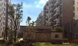 深圳汪小姐最新爆料电话,揭秘电话背后的惊人真相