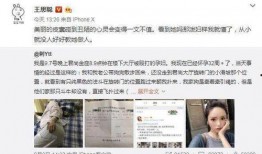 网红打架大事件爆料视频,揭秘网络暴力背后的真相